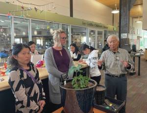 Emilie Springer/ Homer News
From left: Megumi Beams, Rachel Tussey and Steve Yoshida attend an event harvesting part of a ginkgo tree at the Homer Public Library on Sunday.