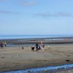 Families enjoy playing at Bishops Beach during a -1.1 tide on Friday, Aug. 18, 2023 in Homer, Alaska. (Delcenia Cosman/Homer News)