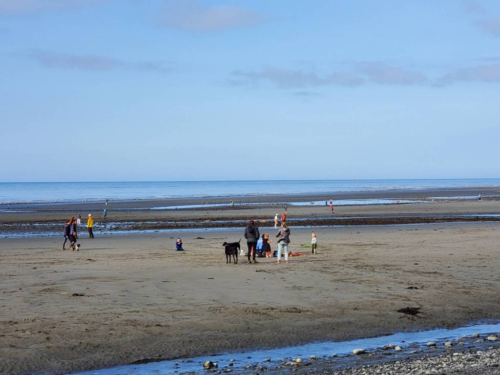 Families enjoy playing at Bishops Beach during a -1.1 tide on Friday, Aug. 18, 2023 in Homer, Alaska. (Delcenia Cosman/Homer News)