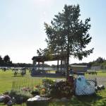 Karen Hornaday Memorial tree and placard with upgrades from the 2023 summer.  Emilie Springer/ Homer News