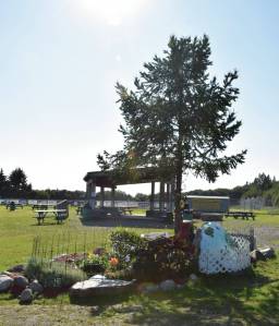 Karen Hornaday Memorial tree and placard with upgrades from the 2023 summer.  Emilie Springer/ Homer News