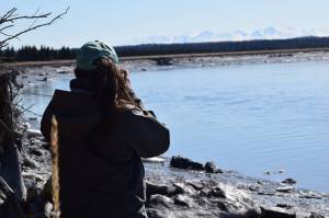Madison Kosma watches as beluga whales swim up the Kenai River at Cunningham Park on Saturday, April 24, 2021. (Camille Botello/Peninsula Clarion)