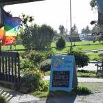 Homer Council on the Arts hosts its first-ever Ceramics Showcase during First Friday on Sept. 1, 2023 in Homer, Alaska. (Delcenia Cosman/Homer News