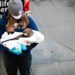 Alaska SeaLife Center veterinary technician Jessica Davis carries a newborn otter pup patient into the Alaska SeaLife Center Veterinary clinic for an initial admit exam on Sept. 9, 2023. The otter pup was admitted to the ASLC Wildlife Response Program after witnesses watched orcas attack the pups mother. (Photo courtesy Peter Sculli/Alaska SeaLife Center)