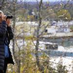 Attendees search the waters of the Kenai River for sightings of Cook Inlet belugas during Belugas Count! at the Kenai Bluff Overlook in Kenai, Alaska on Saturday, Sept. 23, 2023. (Jake Dye/Peninsula Clarion)
