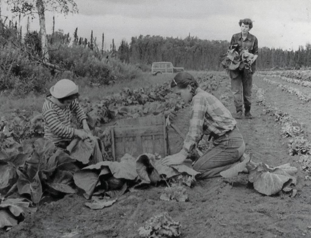 Rusty Lancashire (standing) and two of her daughters work to harvest vegetables from their large homestead garden. (1954 photo by Bob and Ira Spring for Better Homes & Garden magazine)