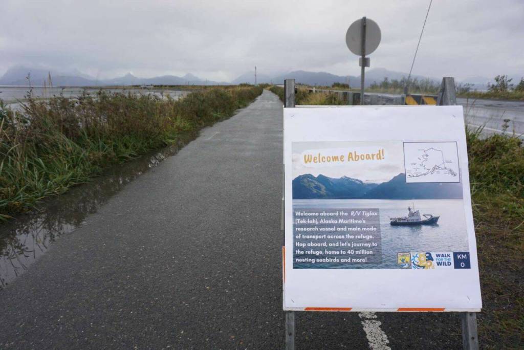 A close look at the beginning checkpoint for the Walk for the Wild 5k on Saturday, Sep. 30, 2023 in Homer, Alaska. (Finn Heimbold/Homer News)