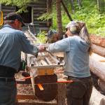Anne Coray (right) and her husband, Steve Kahn (left) mill logs during the rebuild of Brown Carlsons cabin on Lake Clark in June 2016. Photo provided by Anne Coray and Steve Kahn