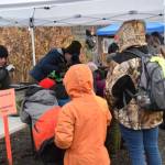 Students identify species of juvenile fish at one of the activity stations during Alaska Department of Fish and Game's "Salmon in the Classroom" salmon egg take event on Wednesday, Oct. 11, 2023 in the Anchor River State Recreation Area in Anchor Point, Alaska. (Delcenia Cosman/Homer News)