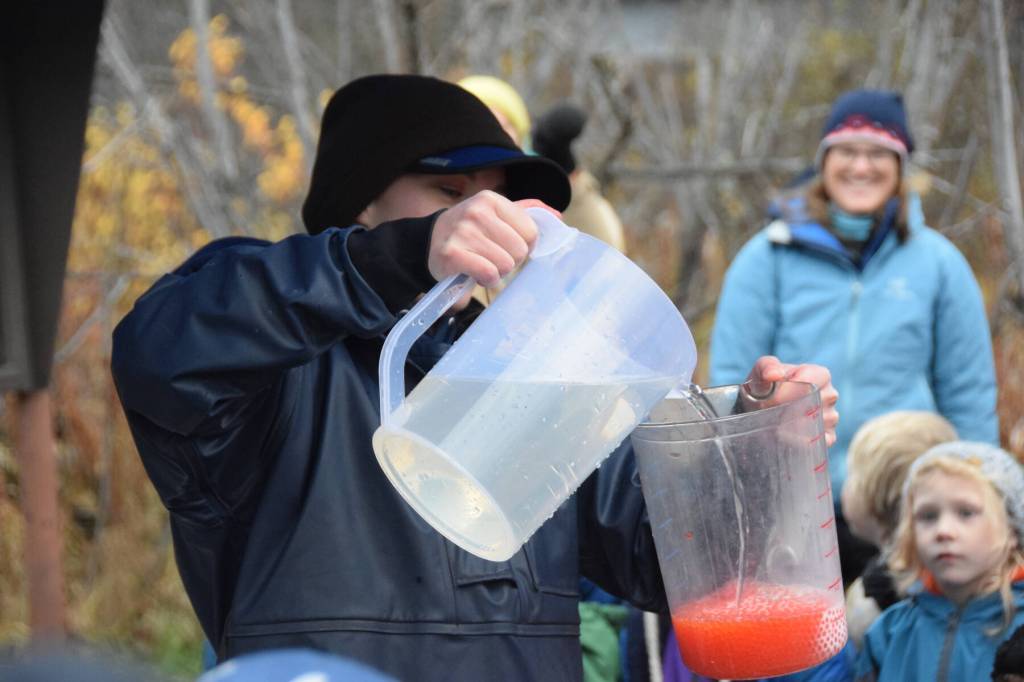 Alaska Deparment of Fish and Game fishery biologist Kayla Hansch adds water to the fertilized salmon eggs to complete the process during ADF&Gs Salmon in the Classroom salmon egg take event on Wednesday, Oct. 11, 2023 in the Anchor River State Recreation Area in Anchor Point, Alaska. (Delcenia Cosman/Homer News)