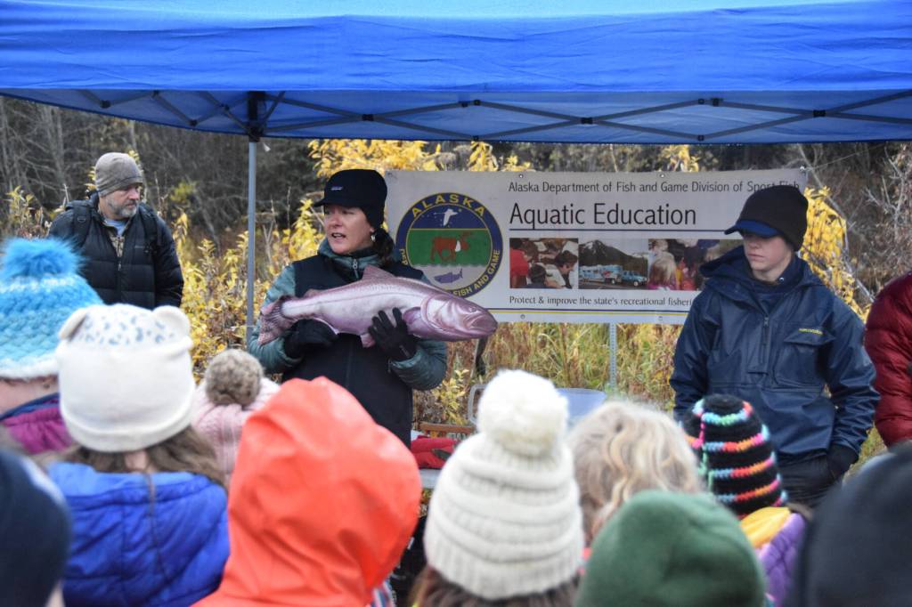Alaska Department of Fish and Game area assistant manager Jenny Gates (center) explains to gathered third-grade classes the five species of salmon found in Alaska during ADF&Gs Salmon in the Classroom salmon egg take event on Wednesday, Oct. 11, 2023 in the Anchor River State Recreation Area in Anchor Point, Alaska. (Delcenia Cosman/Homer News)