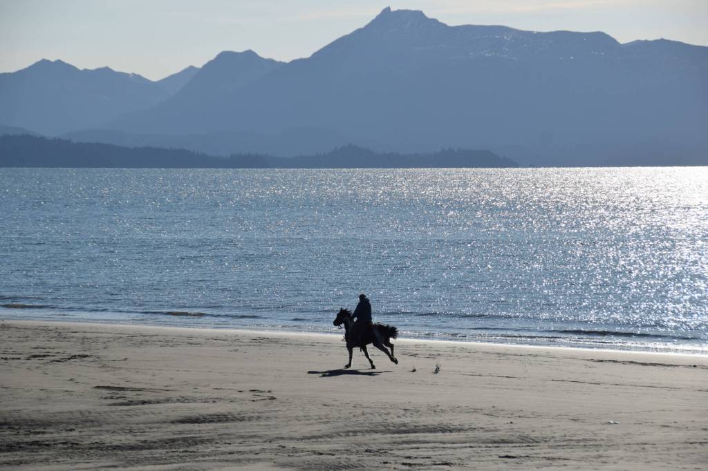 A horse and their rider take a gallop down the length on Bishops Beach on Sunday, Oct. 22, 2023 in Homer, Alaska. (Finn Heimbold/Homer News)