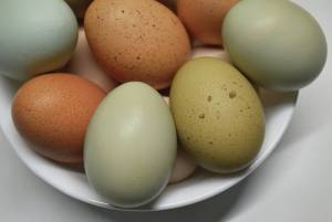 Photo courtesy Susan Johnson
Six of One, a photograph by Susan Johnson on display in her exhibit Fruits of our Labor at Homer Council on the Arts through October.