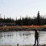 A plane flies over a frozen lake as attendees wait for the next pumpkin to fall during Kenai Aviations Fifth Annual Pumpkin Drop at the Kenai Airpark in Kenai, Alaska, on Saturday, Oct. 21, 2023. (Jake Dye/Peninsula Clarion)