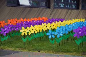 Promise garden flowers are assembled for the Walk to End Alzheimers at the Soldotna Regional Sports Complex in Soldotna, Alaska, on Saturday, Sept. 16, 2023. (Jake Dye/Peninsula Clarion)