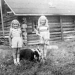 Photo courtesy of the Mullen Family Collection via the Kenai Peninsula College historical photo repository
In the early 1950s, the Marge and Frank Mullen family were offered a chance to stay in the Marcus Bodnar cabin, which was much more spacious than their own. The Bodnar brothers had decided to move to Anchorage to earn some wages. Here, Eileen (L) and Peggy Mullen pose with their goats outside Marcuss cabin in about 1951.