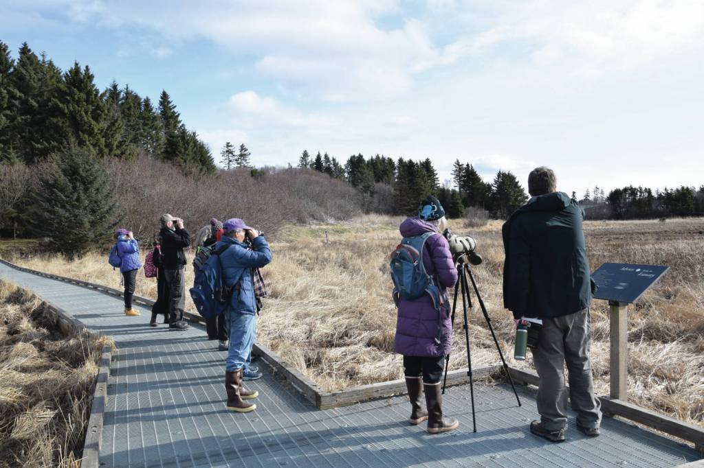 Birders participate in the Birdability on Beluga Slough event on Friday, May 5, 2023<ins>,</ins><ins> in Homer, </ins><ins>Alaska</ins>. (Photo by Delcenia Cosman/Homer News)