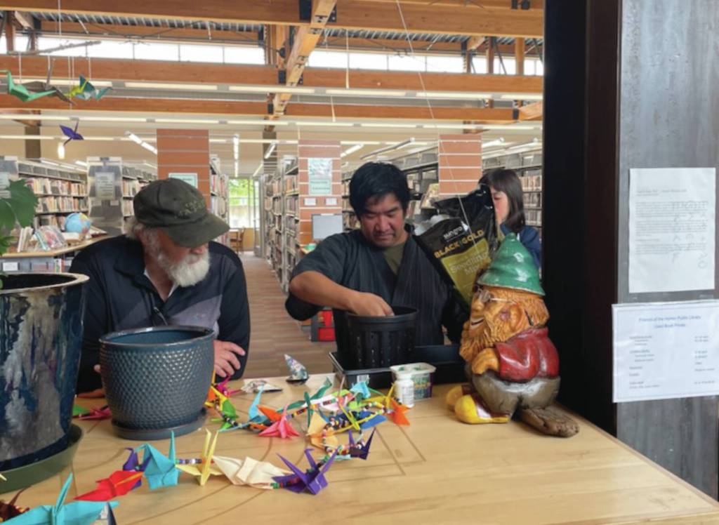 Emilie Springer/Homer News
Mayor Ken Castner (left) and Kevin Co replant the Peace Tree sprout on Sunday, Aug. 6<ins>, 2023</ins> at the Homer Public Library<ins> in Homer, Alaska</ins>.