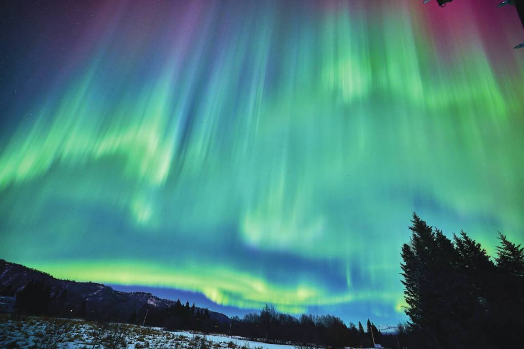 The aurora borealis can be seen overhead from East End Road<ins>,</ins><ins> in Homer, Alaska,</ins> on Feb. 26<ins>,</ins> <ins>2023</ins>. Photo provided by Christopher Kincaid.