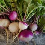 Solstice Roots, a photograph by Susan Johnson, is on display at South Peninsula Hospital. Photo provided by Homer Council on the Arts