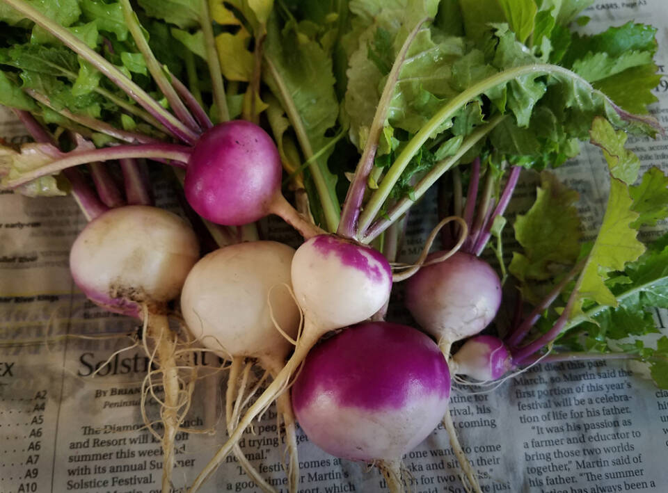 Solstice Roots, a photograph by Susan Johnson, is on display at South Peninsula Hospital. Photo provided by Homer Council on the Arts