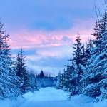 A winter sunset colors the sky at the end of a snow-lined road near Anchor Point, Alaska on Monday, Jan. 1, 2023. (Callie Steinberg/Homer News)