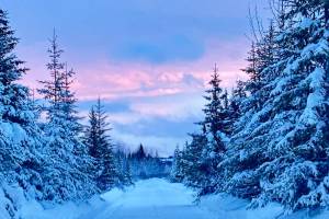 A winter sunset colors the sky at the end of a snow-lined road near Anchor Point, Alaska on Monday, Jan. 1, 2023. (Callie Steinberg/Homer News)