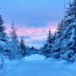 A winter sunset colors the sky at the end of a snow-lined road near Anchor Point, Alaska on Monday, Jan. 1, 2023. (Callie Steinberg/Homer News)