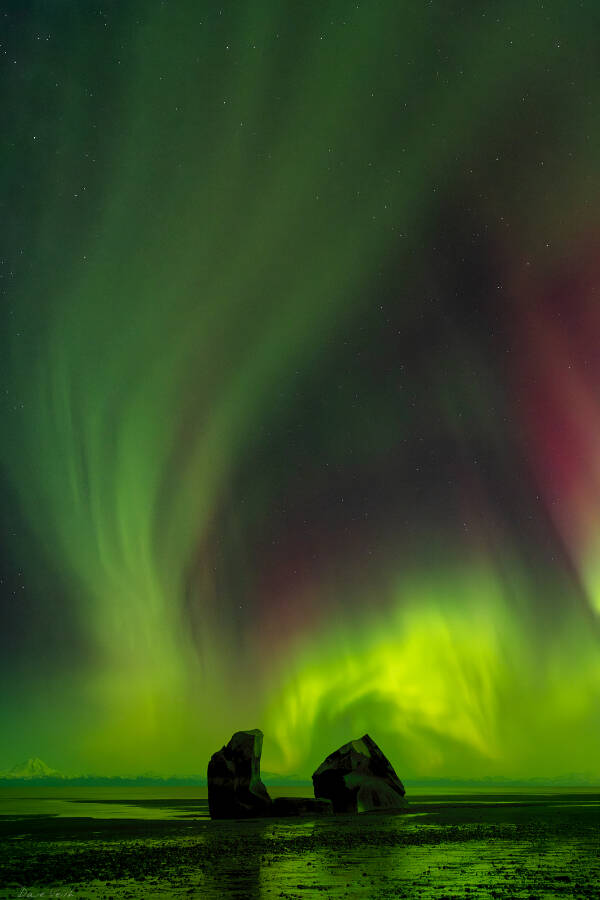 Inaugural exhibit | Homer News