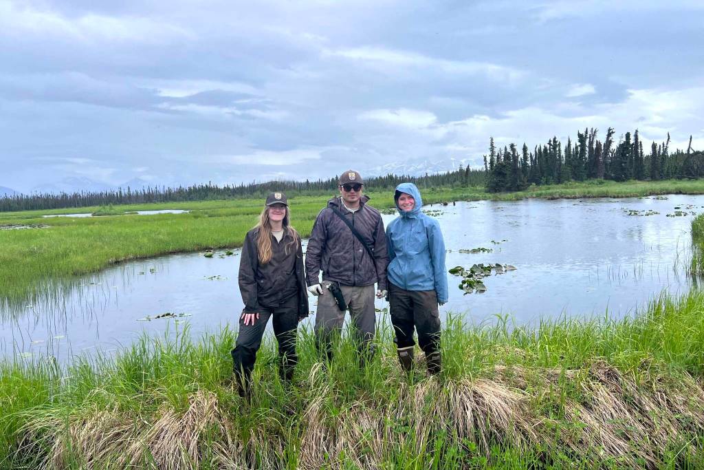 Summer seasonal field crews grow professionally through experiencing the beauty and the bounty of the Kenai National Wildlife Refuge. (Photo by USFWS)
