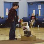 Cheddar the Dog sits in a box and waits patiently for a treat from owner Mary Simondsen (left) at the Snow Rondi Dog Show on Sunday<ins>, March 3, 2024</ins> in the Chapman School gym in Anchor Point<ins>, Alaska</ins>. (Delcenia Cosman/Homer News)