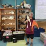 Photo by Emilie Springer
Patty Lekanoff-Gregory displays two hat forms to students attending the bentwood hat making course at the Alaska Maritime National Wildlife Refuge Visitor Center on Sunday.