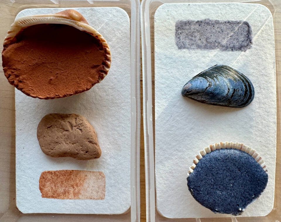 Stripes of paint are placed next to a rock, a mussel, and shells filled with pigment made by artist Karyn Murphy. Photo provided by Karyn Murphy