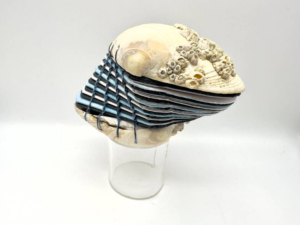 Shell Book I is crafted by artist Karyn Murphy with coptic binding and four types of paper. Photo provided by Karyn Murphy