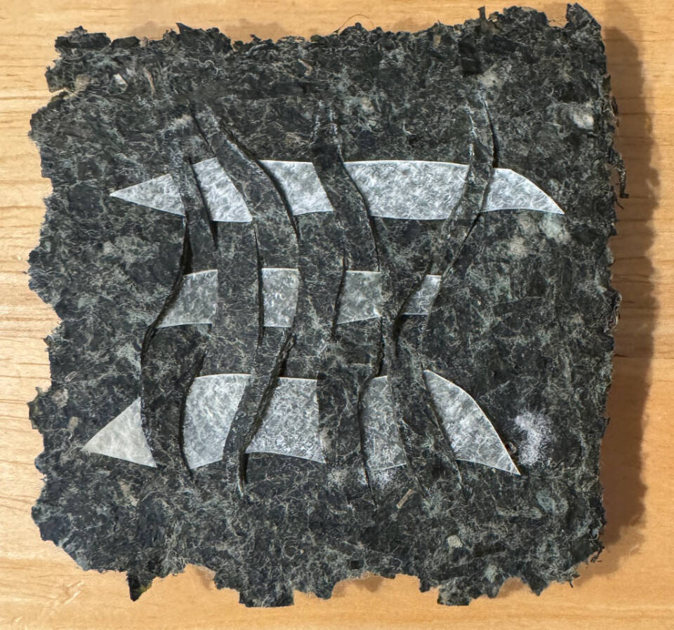Handmade seaweed paper woven with salmon skin is crafted by artist Karyn Murphy. Photo provided by Karyn Murphy