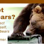 Flier for Bear Awareness and Electric Fencing Workshops. (Provided by Defenders of Wildlife)