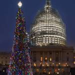 A 75-foot Lutz spruce is lit as the official 2015 Capitol Christmas Tree on the West Lawn of the U.S. Capitol. (Architect of the Capitol photo)