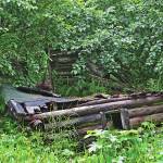 In the summer of 2016, this was all that remained of Rex Hankss original homestead cabin, located just above the waterfall on Happy Creek. (Photo by Clark Fair)