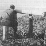 Photo from The Pioneers of Happy Valley, 1944-1964, by Ella Mae McGann
Happy Valley homesteader Wayne Jones looks through the telescope built by Rex Hanks, circa 1950.