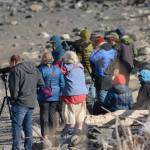 Birdwatchers scan Mud Bay for birds on Friday, May 6, 2022, during the Kachemak Bay Shorebird Festival in Homer, Alaska. (Photo by Michael Armstrong/Homer News)