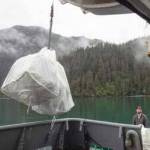 Thousands of pounds of trash collected at eight beaches. (Photo by Sarah Conlin/NPS)