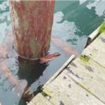 Example of Homer Harbor float damage: low freeboard resulting in submerged pile collar, corroding hardware connections, with connections protruding through decking.  Photo provided by the City of Homer.