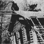 In this photo from the March 10, 1949, edition of the Wayne (Nebraska) Herald, Soldotna homesteader Marvin Smith is seen working on the roof of his cabin along the Kenai River.