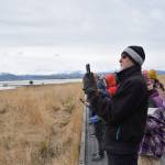 Participants in Ted Floyds birding workshop take photos of shorebirds along the Beluga Slough Trail on Friday, May 10, 2024 in Homer, Alaska. (Delcenia Cosman/Homer News)