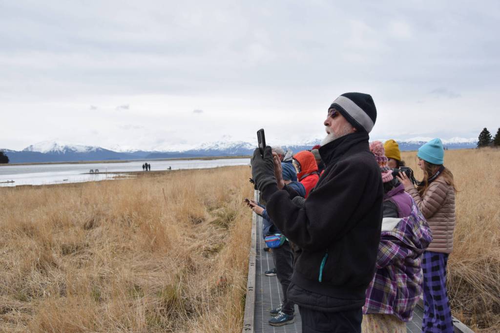 Participants in Ted Floyds birding workshop take photos of shorebirds along the Beluga Slough Trail on Friday, May 10, 2024 in Homer, Alaska. (Delcenia Cosman/Homer News)