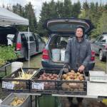 Robert Heimbach stands with his first sales items, parsnips and potatos, on the opening day at Homer Farmers Market. Emilie Springer/ Homer News