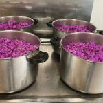 Marcia Roughlys fireweed harvest from 2023 in preparation for the 2024 market season. Photo provided by Marcia Roughly.