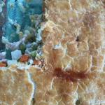 This classic chicken pot pie is a great way to use up the last handfuls of frozen peas and sad potatoes in the pantry. (Photo by Tressa Dale/Peninsula Clarion)