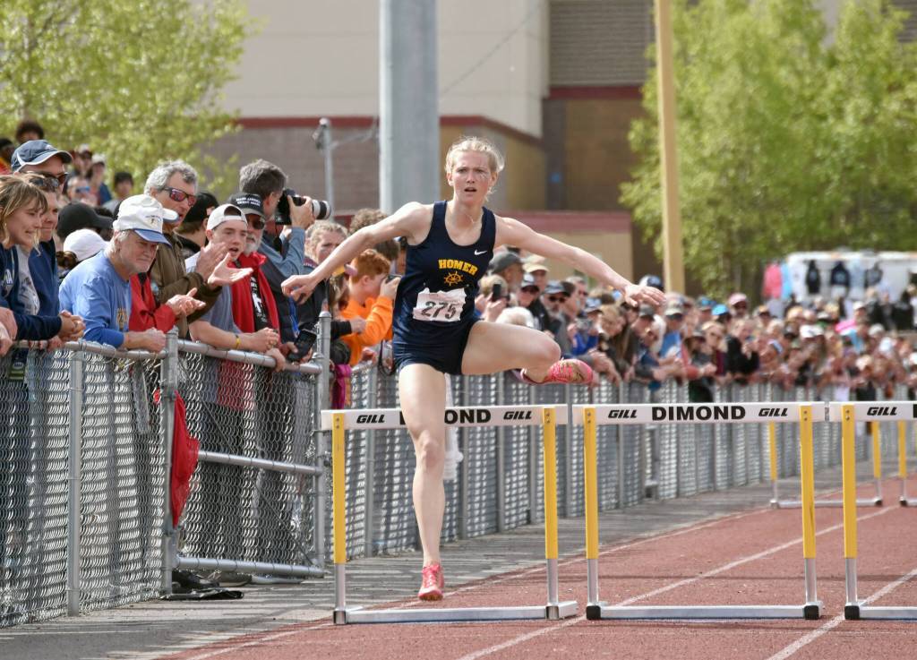 Homers Gracie Miotke wins the 300-meter hurdles at the Division II state track and field meet Saturday, May 25, 2024, at Dimond High School in Anchorage, Alaska. (Photo by Jeff Helminiak/Peninsula Clarion)