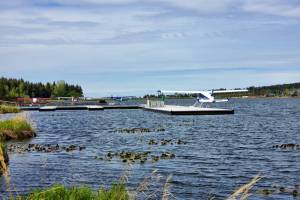 Float planes are docked on Beluga Lake on Tuesday, June 4, 2024 in Homer, Alaska. (Delcenia Cosman/Homer News)
